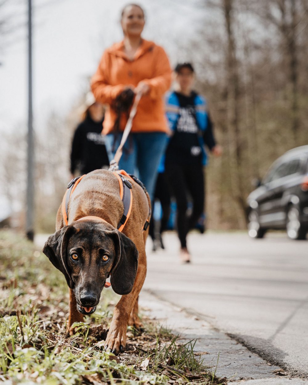 Suchhunde-Chiemgau-Training-W-325