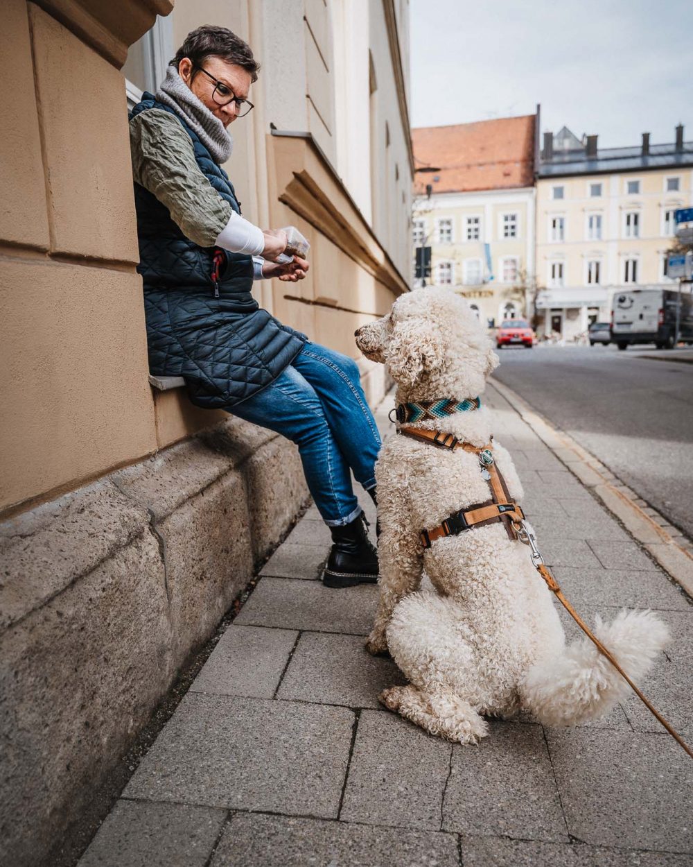 Suchhunde-Chiemgau-Training-W-99 Suchhunde-Chiemgau-Training-W-99