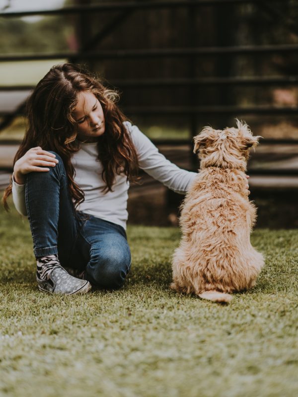 annie-spratt-1wAGVmYBxwQ-unsplash annie-spratt-1wAGVmYBxwQ-unsplash